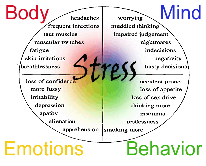 Understanding stress and cancer