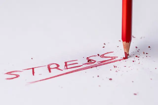 Understanding Cortisol and Stress: 5 Practical Strategies to Reduce Stress